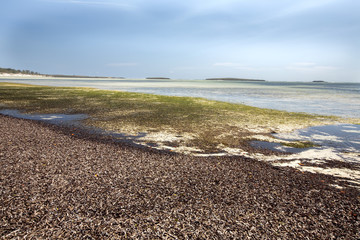 Bay Amoronia orange dry seaweed-covered coast, north of Madagascar