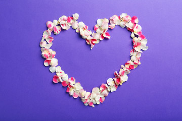 Rose petals on a purple background