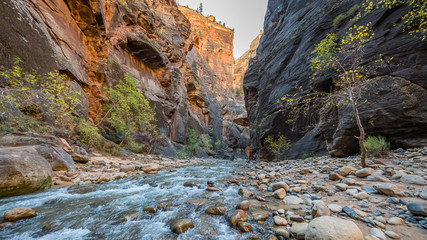 Obraz premium Tunnel is one of the most popular areas. Virgin River in The Narrows in Zion National Park, Utah, USA