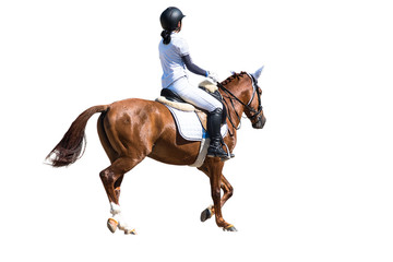 Woman Riding a Horse. Isolated. Equestrian Sport.