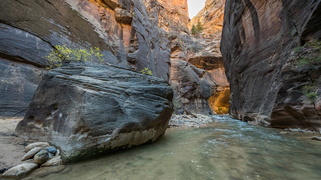 The river runs canyon wall to canyon wall. Tunnel is one of the most popular areas. Virgin River in The Narrows in Zion National Park, Utah, USA