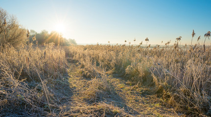 Path through a frozen field at sunrise in autumn