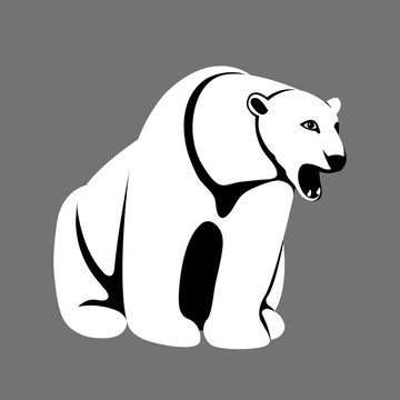 polar bear  vector illustration styl flat