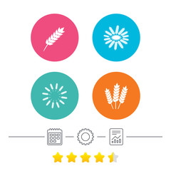 Obraz premium Agricultural icons. Gluten free or No gluten signs. Wreath of Wheat corn symbol. Calendar, cogwheel and report linear icons. Star vote ranking. Vector