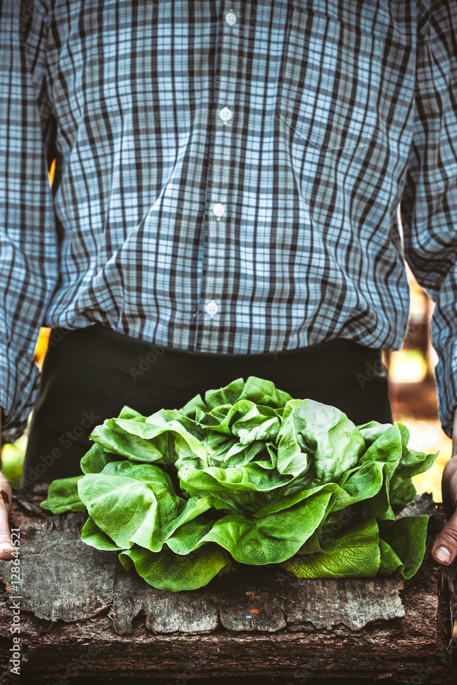 Poster farmer with lettuce