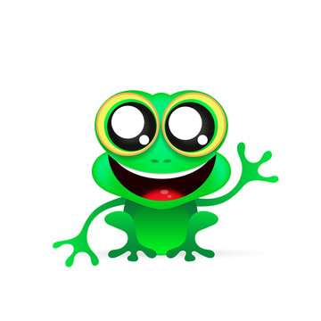 Fun frog on white background