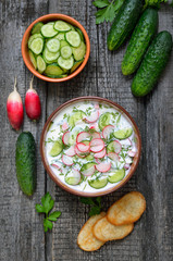 Fototapeta na wymiar Summer yoghurt cold soup and fresh cucumbers