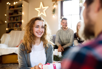 Young friends in decorated living room celebrating Christmas tog