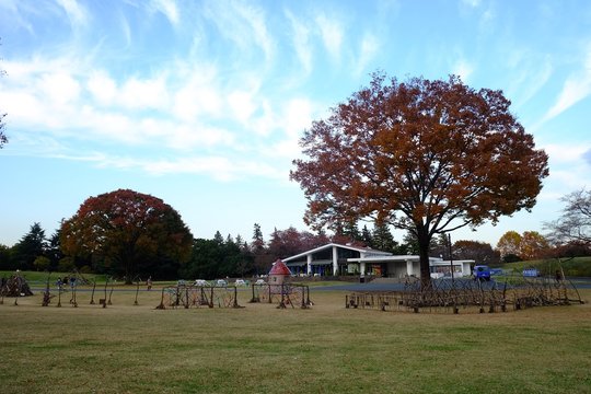 showa kinen park 