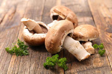 mushroom
