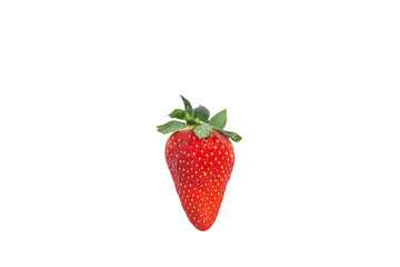 One bright colorful juicy ripe strawberries