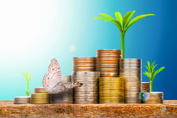 Business concept with money coin stack, butterfly and tree on wood table with lens flare effect