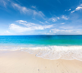 Fototapeta premium beach and tropical sea