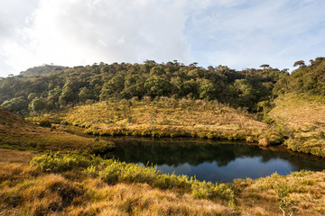 Fototapeta na wymiar Landscape in Horton Plains National Park, Sri Lanka.
