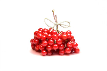 autumn bouquet of red viburnum