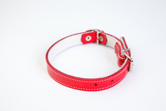 Leather Red Dog Collar