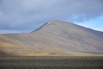 Fototapeta premium landscape of volcano and forest in Patagonia Chile
