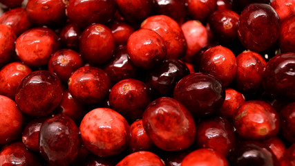 Cranberries close-up