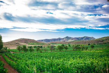 Picturesque landscape of Spain