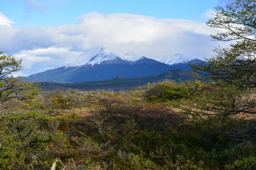 Fototapeta premium krajobraz wulkanu i lasu w Patagonii Chile