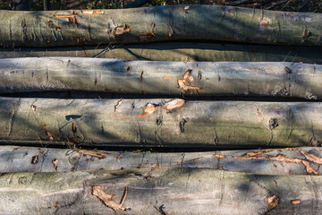 Holzstapel am Wegesrand