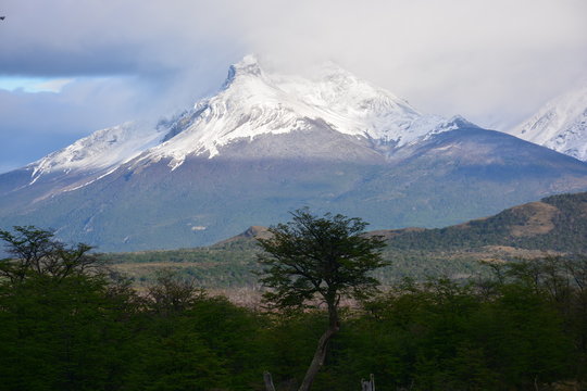 landscape of volcano and forest in Patagonia Chile
