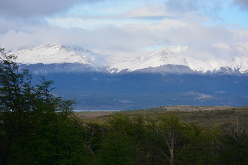 Fototapeta premium Landscape of volcano and forest in Patagonia Chile