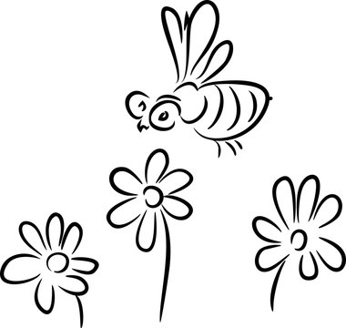 Sketch of bee and flowers
