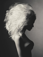 Beautiful blonde woman with volume hairstyle - obrazy, fototapety, plakaty