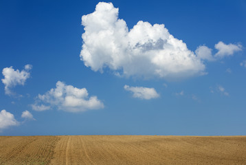 Fototapeta na wymiar white clouds floated in blue sky above the brown field