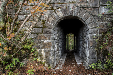 Fototapeta na wymiar Hiker's tunnel on the Appalachian Trail. 