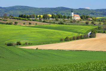 Fototapeta na wymiar spring farm landscape with green fields and old city in Czech republic
