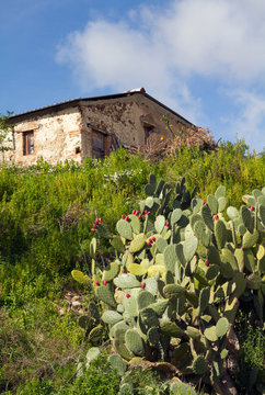 An old building along the Edward Lear path, prickly pears in foreground, Reggio Calabria, Bova, Calabria,. Italy