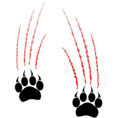 Naklejka premium Footprints or steps of a big cat. Panther or tiger traces. Vector 