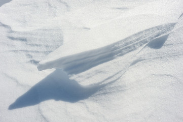 Coarse texture of the snow, accented by a sliding sun light