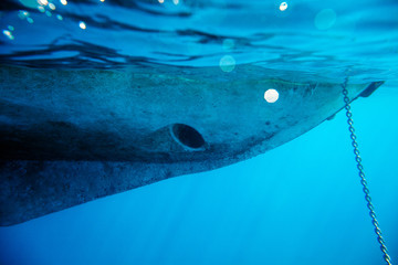 underwater yacht background