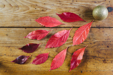Naklejka na ściany i meble Autumn leaves on wooden table