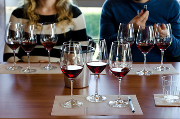 Weinprobe in Langhe (Italien) mit drei Gläsern Nebbiolo auf einem Tisch