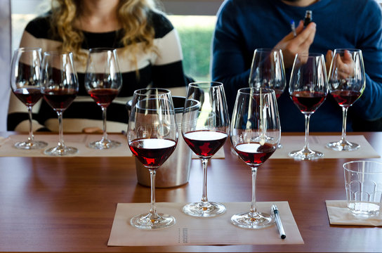 Fototapeta Wine tasting experience in Langhe (Italy) with three glasses of Nebbiolo on a table
