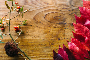 Naklejka na ściany i meble Autumn leaves on wooden table