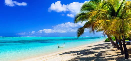 Papier Peint photo Île vacances tropicales parfaites - plages de sable blanc de l& 39 île Maurice