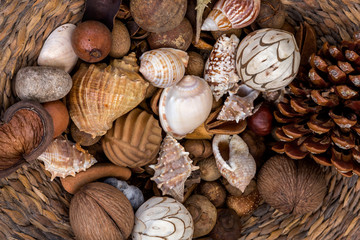 Wicker basket with seashells, pine cones, seeds and dried fruits, ornamental, background.
