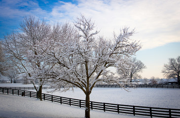 Winter in Kentucky.