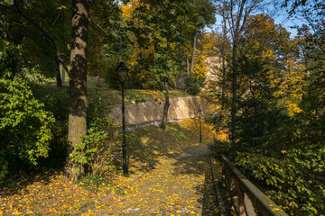 Autumn colors on a sunny day, Petrin and Kinsky parks, Prague, Czech Republic, Central Europe