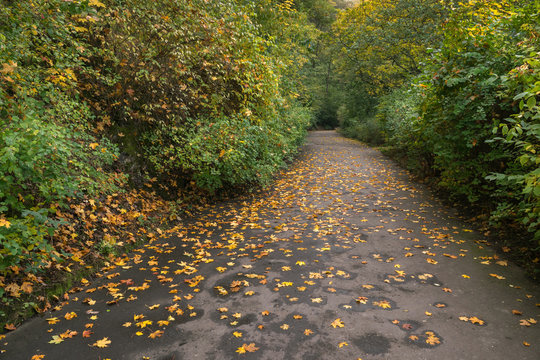 Autumn walks on a clouded day, Petrin and Kinsky parks, Prague, Czech Republic, Central Europe