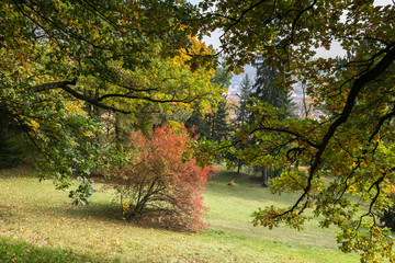 Autumn colors on a sunny day, Petrin and Kinsky parks, Prague, Czech Republic, Central Europe