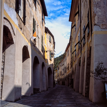 Zuccarello