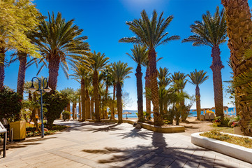 The Central Promenade in Eilat with the beach in the background