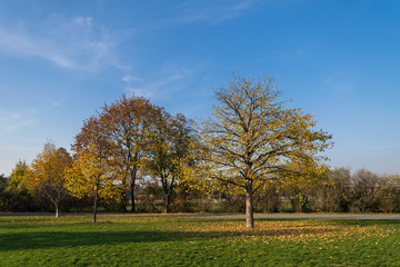 Fototapeta premium Autumn walks in Letna Park, Prague, Czech Republic, Europe