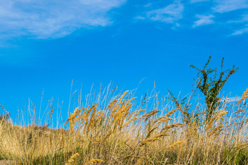 Fototapeta premium Autumn walks, Residential zone Hurka, Nove Butovice, Prague, Stodulky, Czech Republic, Central Europe